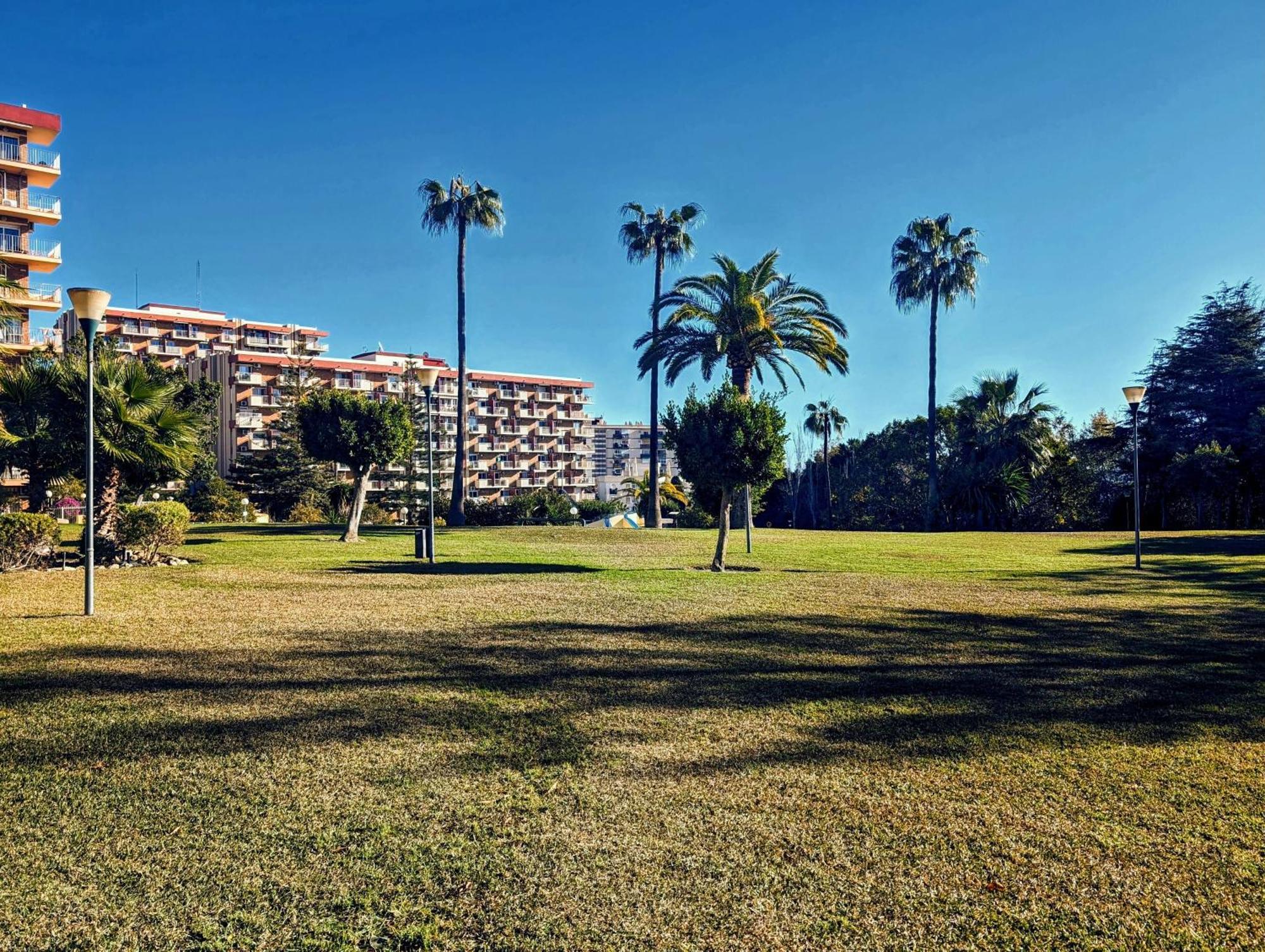 Estudio 19 Minerva Apartamentos-Piscina365-Playa-Wifi 贝纳尔马德纳 外观 照片